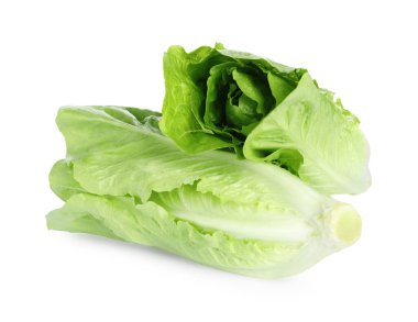 Taze yeşil romaine marulları beyaz üzerine izole edilmiş.