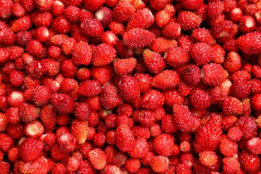 Arka plan olarak pek çok taze çilek, üst manzara