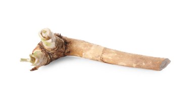 Bir taze yaban turpu kökü beyaza izole edilmiş.