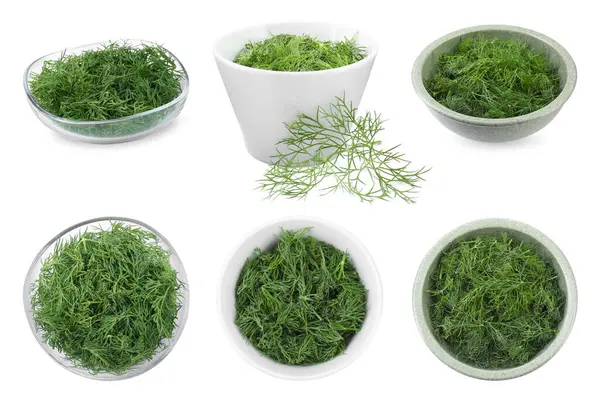 Collage Bowls Fresh Dill Isolated White Top Side Views — Stock Photo, Image