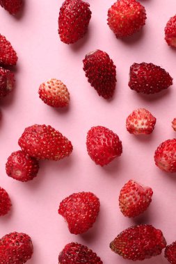 Pembe arka planda bir sürü taze yabani çilek yatıyordu.