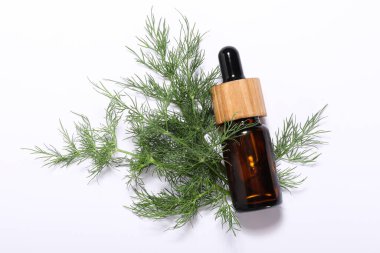 Beyaz arka planda bir şişe temel yağ ve taze dereotu.