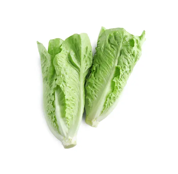 Fresh Green Romaine Lettuces White Background Top View — Stock Photo, Image