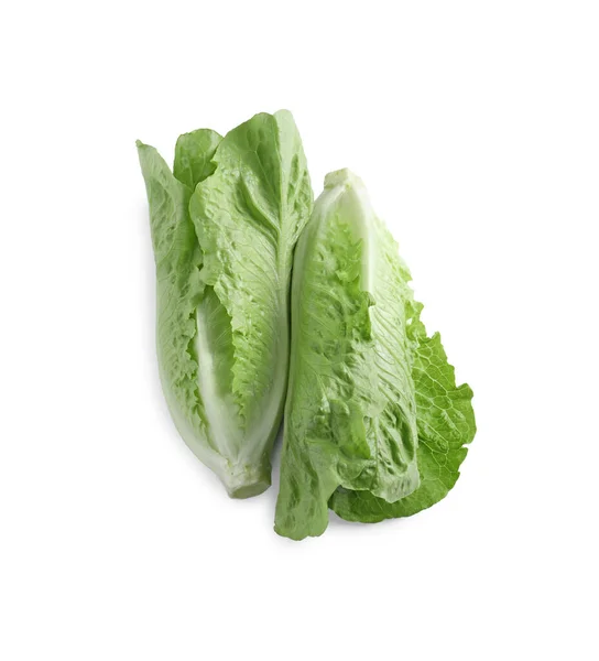 Fresh Green Romaine Lettuces Isolated White Top View — Stock Photo, Image