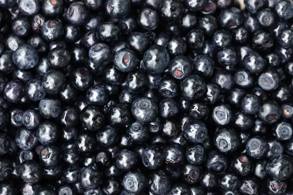 Many Bilberries Background Top View Seasonal Berries — Stock Photo, Image