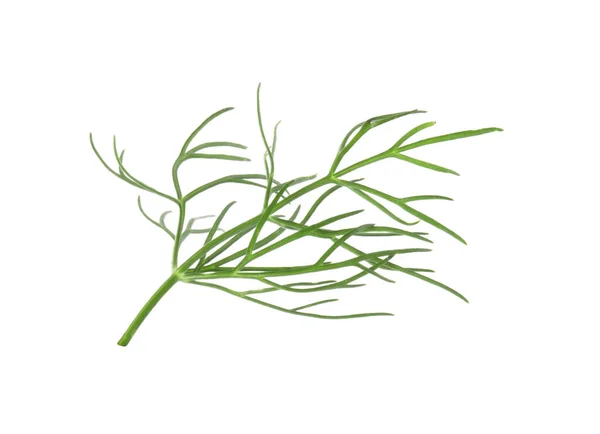 One Sprig Fresh Dill Isolated White — Stock Photo, Image