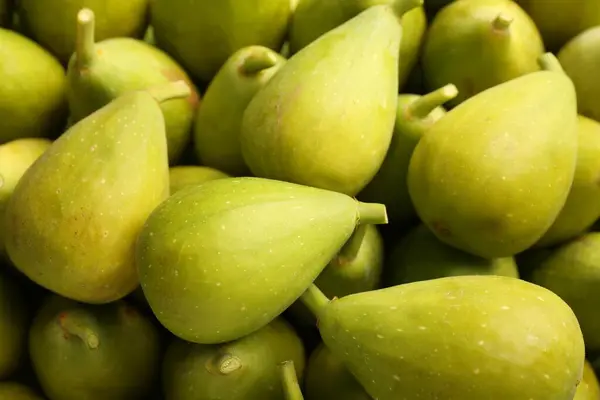 Many Fresh Green Figs Background Closeup —  Fotos de Stock