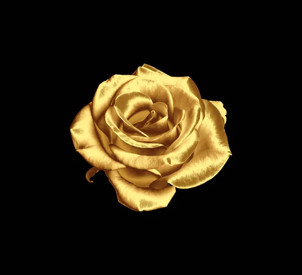 Amazing Shiny Golden Rose Black Background — Stock Photo, Image