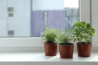 Pencere pervazında farklı taze otlar var. Metin için boşluk