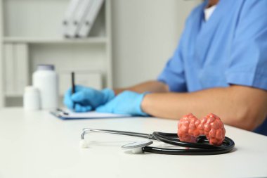 Hastanede çalışan endokrinolog, tiroid bezi modeline odaklan ve beyaz masaya stetoskop koy.