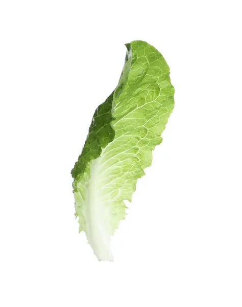 Fresh Leaf Green Romaine Lettuce Isolated White — Stock Photo, Image