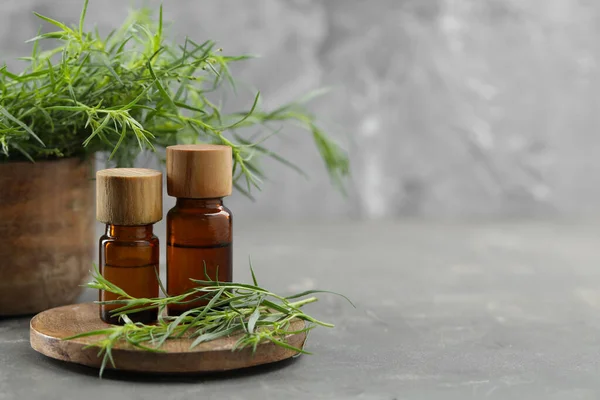 Bottles of essential oil and fresh tarragon leaves on grey table. Space for text