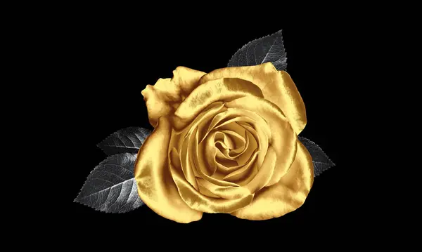 Incroyable Rose Dorée Brillante Sur Fond Noir — Photo