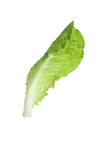 Fresh Leaf Green Romaine Lettuce Isolated White — Stock Photo, Image