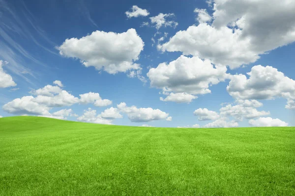 Пышная Зеленая Трава Ярко Голубым Небом Пушистыми Облаками — стоковое фото