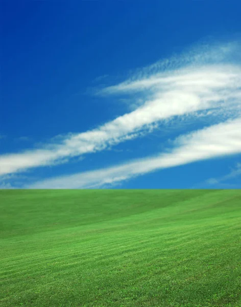 Зеленая Трава Ярко Голубым Небом Облаками — стоковое фото