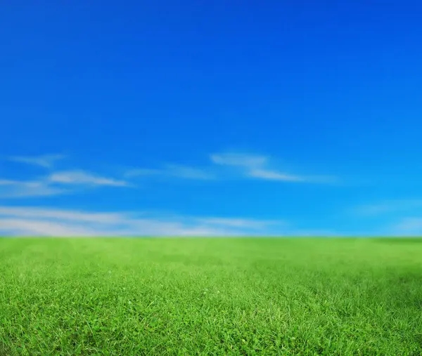 Grönt Gräs Klarblå Himmel Med Moln — Stockfoto