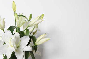 Beyaz arka planda güzel zambak çiçekleri, yakın plan. Metin için boşluk