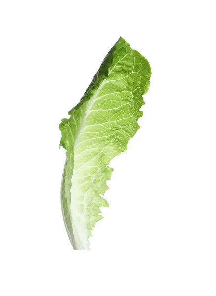 Čerstvý List Zeleného Římského Salátu Izolovaný Bílém — Stock fotografie