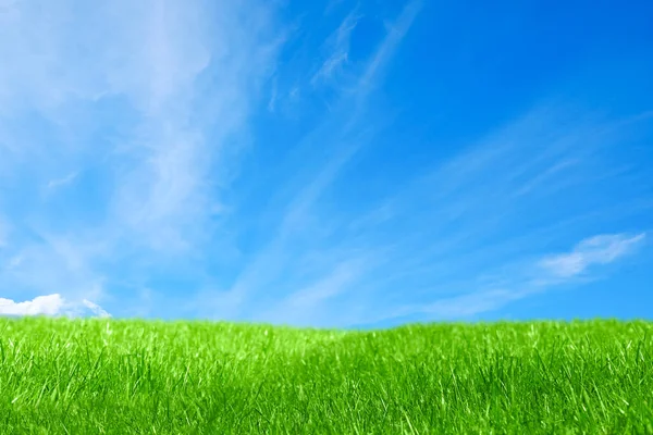 Lysande Grönt Gräs Klarblå Himmel Med Moln — Stockfoto