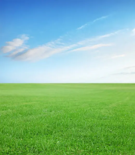 Grönt Gräs Klarblå Himmel — Stockfoto