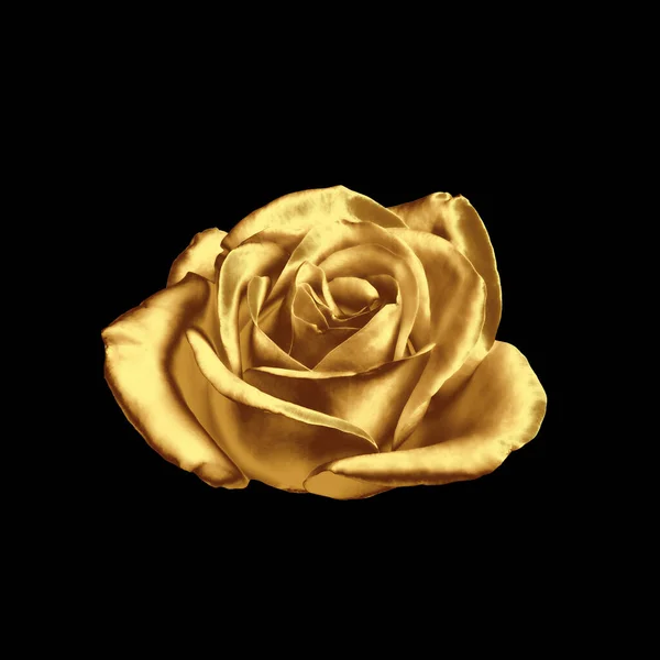 迷人的金黄色玫瑰在黑色的背景上 — 图库照片