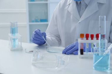 Bilim adamı laboratuarda Petri kabına örnek damlatıyor, yakın plan. Tıbbi araştırma