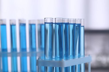 Bulanık arka planda, rafta reaktörlü test tüpleri, yakın plan. Laboratuvar analizi