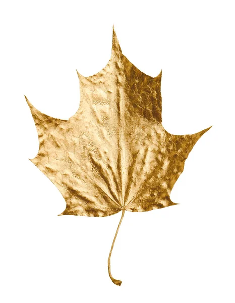 One Golden Maple Leaf Isolated White Autumn Season — Stock Photo, Image