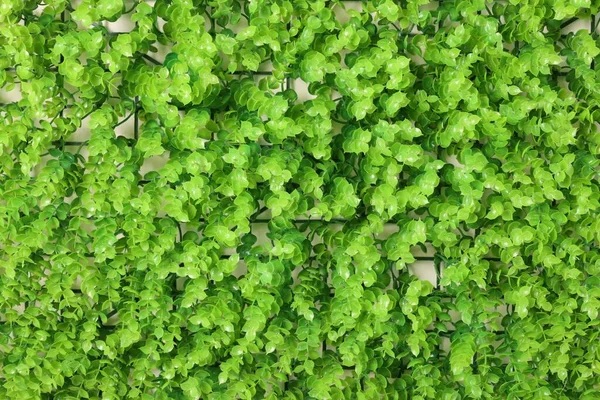 Зелені Штучні Рослини Фон Вид Зверху — стокове фото