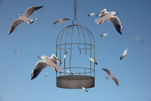 stock image Freedom. Birds flying out of broken cage on light blue background