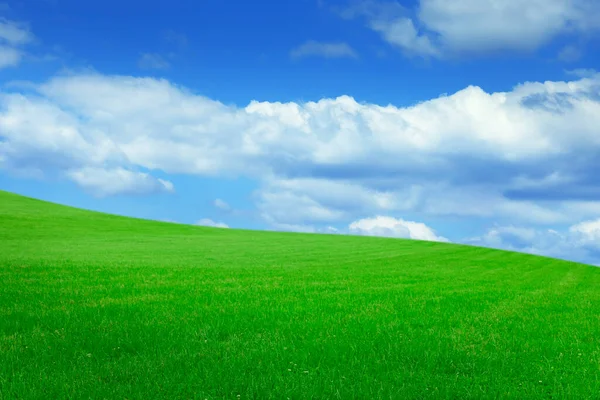 Пышная Зеленая Трава Ярко Голубым Небом Пушистыми Облаками — стоковое фото