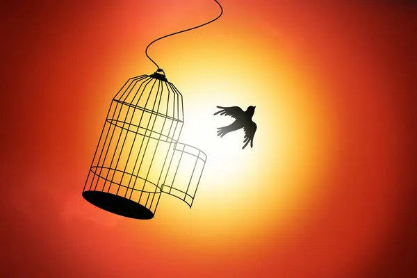 Freedom. Bird flying out of open cage against sun, illustration