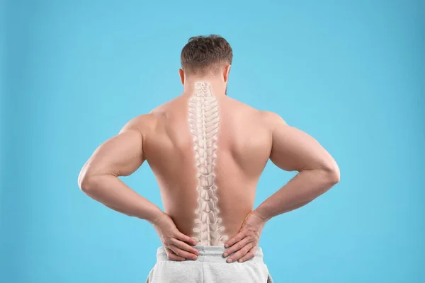 Muscular man on light blue background, back view. Illustration of spine