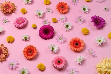 Soluk pembe arka planda farklı güzel çiçekler