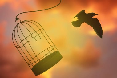 Özgürlük için. Kırık kafesten çıkıp bulutlu gökyüzüne uçan kuş.