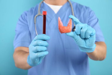 Endokrinolojist tiroid bezi modeli ve açık mavi arka planda kan örneği gösteriyor.