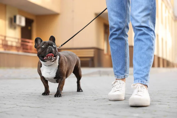 Güzel Fransız Bulldog 'uyla gezen bir kadın, yakın plan.