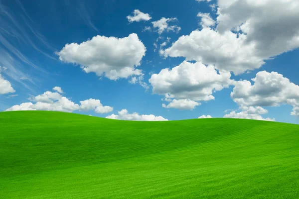 Erba Verde Lussureggiante Sotto Cielo Blu Brillante Con Nuvole Soffici Fotografia Stock