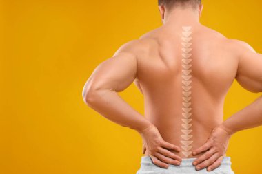 Muscular man on orange background, back view. Illustration of spine clipart