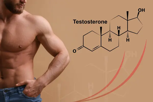 Muscular man and structural formula of testosterone on beige background, closeup
