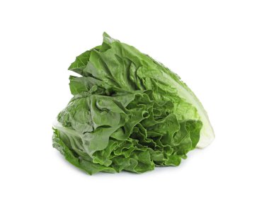 Taze yeşil romaine marulları beyaz üzerine izole edilmiş.