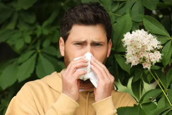 Hombre Que Sufre Alergia Estacional Primaveral Cerca Del Árbol Parque —  Fotos de Stock