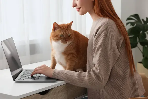 Woman with cat working at desk, closeup. Home office