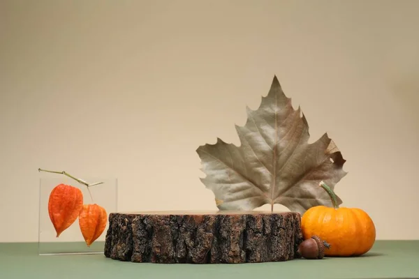 Stilvolle Präsentation Für Produkt Holzstumpf Und Herbstdekor Auf Farbigem Hintergrund — Stockfoto