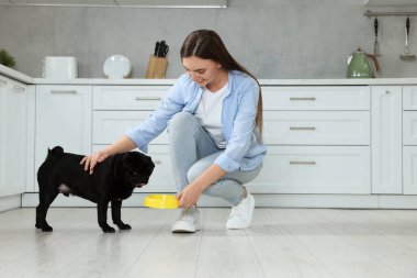 Güzel genç bir kadın mutfakta sevimli köpeğini besliyor.