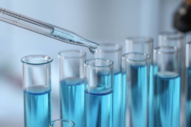 Dripping liquid from pipette into test tube in laboratory, closeup