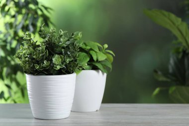 Beyaz ahşap masa üzerinde farklı yapay saksı bitkileri, metin için yer.