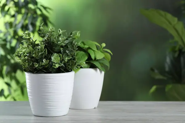 Différentes Herbes Artificielles Pot Sur Table Bois Blanc Extérieur Espace — Photo