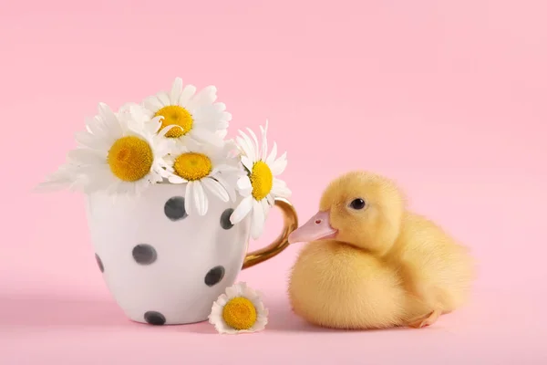 Baby animal. Cute fluffy duckling near flowers on pink background